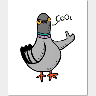 Coo / Cool Pigeon Posters and Art